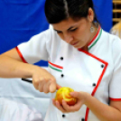 Pályaválasztási kiállítás