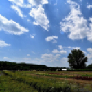 Csemőben is járt a nemzetközi zsűri