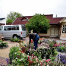 Anyák napi virágvásár és Anyám tyúkja főzőverseny