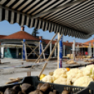 Halad a piac projekt