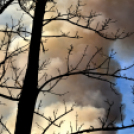 Száraz növényzet égett