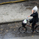 Senki sem úszta meg... 