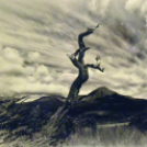 Megnyílt a Ceglédi Fotóklub kiállítása