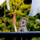 Gyerekek munkái - Március 15