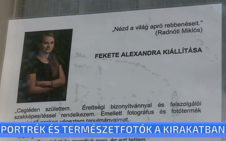 Portrék és természetfotók a kirakatban