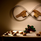 ”Vakhit és evolúció” című kiállításáról 