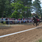 Bor és laskafesztivál - II