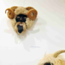 Mohácsi hagyomány Cegléden