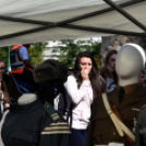 Autómentes Nap Cegléden