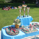 Városi Úszóverseny