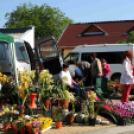 Csemői - Anyám tyúkja