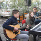 Utcazene fesztivál és koncertek