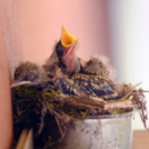 Egy halkonzervnyi gondoskodás