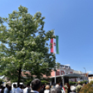 Felavatták az országzászló emlékművet Cegléden