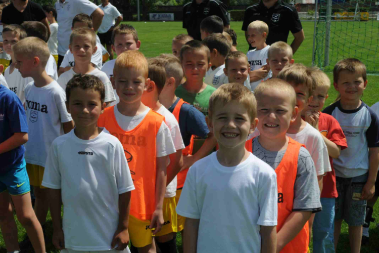 CVSE foci éremosztó