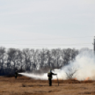 Száraz növényzet égett