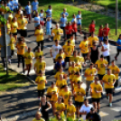 Megyei futó- és gyalogló nap