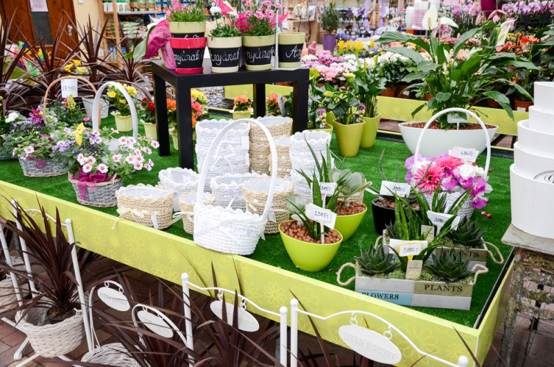 Oázis Kertészeti Áruház