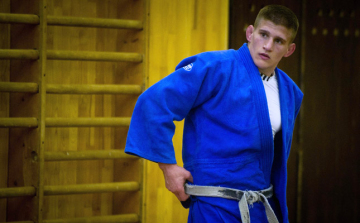 Karvaly Dél-Amerikába repül