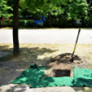 Kosárlabdacsarnok alapkőletétel 