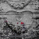 ,,Tudom e mérni a mérhetetlent’’