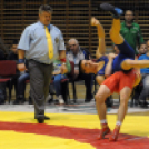 Birkózó Csapat Bajnokság - Odavágó