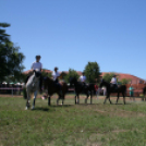 IX. Bor és Laskafesztivál - IV. Ceglédi Vágta