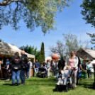 Virágvásár és főzőfesztivál Csemőben