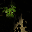 Jójárt György kiállítása a Gimiben