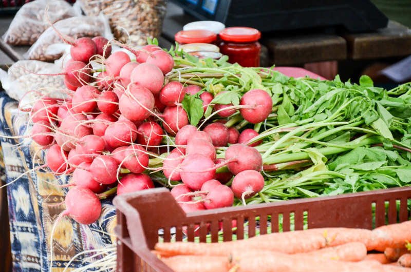 Oázis Kertészeti Áruház