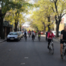 Tájékozódási kerékpártúra - Albertirsai kör (Kisfaludi István)