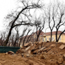 Lekerült az ötkarika sportcsarnokról