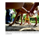 Ez történt Cegléden 1015-ben