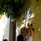 Benedek Péter parasztfestőre emlékeztek születésének 130. évfordulóján