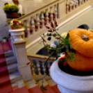 A legszebb kerteket, balkonokat és rajzokat díjazták