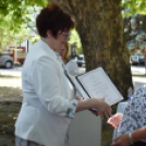 Semmelweis napi elismerések