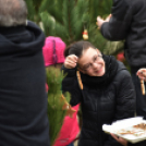 Karácsonyfa díszítő verseny