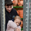 Családi tökfaragás az Oázis Kertészetben