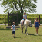 Nyitott Pince Napok - Kökény és Fia Családi Borászat