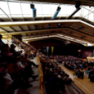 Városi nőnap - fotó: Kisfaludi István 