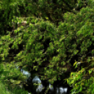 Karanténséta a Gerje parton