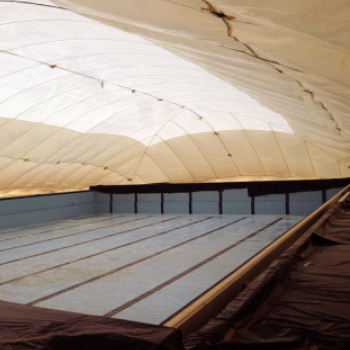 Városi Strandfürdő - Tető alá került a medence