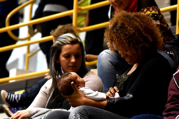 Cegléd - Mezőkövesd férfi kézilabda bajnokság