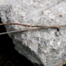 Városi Strandfürdő - Bontás II.