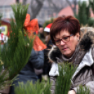 Karácsonyfa díszítő verseny