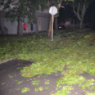 Viharkárok a Ceglédi térségben 