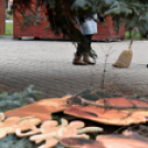 🎄 Holnap nyílik a Ceglédi Advnet 🎄