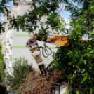 Városi Strandfürdő - Ledarálták az 50-est