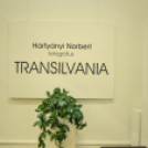 Transilvania bemutatkozott