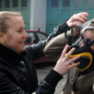 Ifjú katasztrófavédelmi verseny